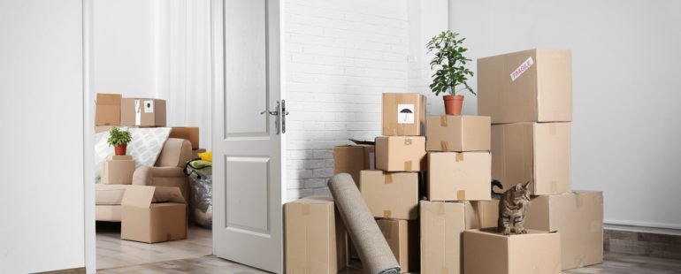comment surmonter les angoisses du déménagement ?