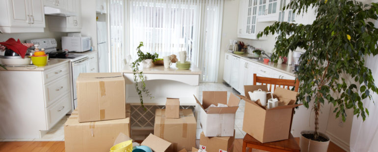 Tout savoir sur le logement temporaire