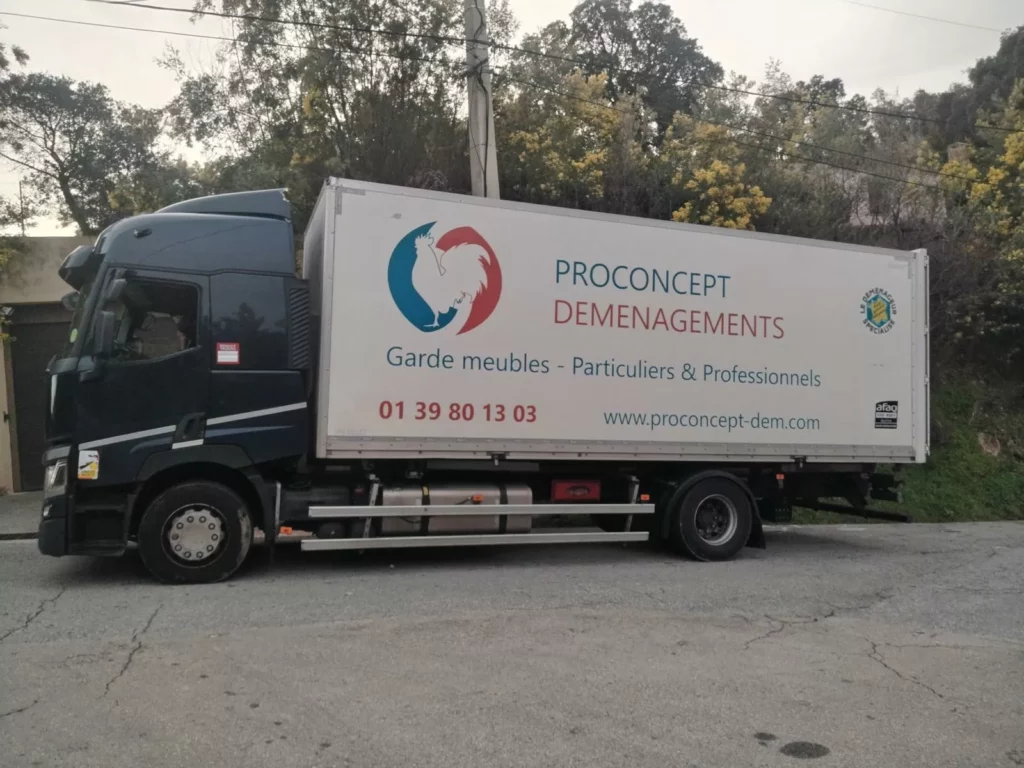 Profil complet d'un camion poids lourd de la société Proconcept Déménagements stationné le long d'une route secondaire bordée de verdure.
