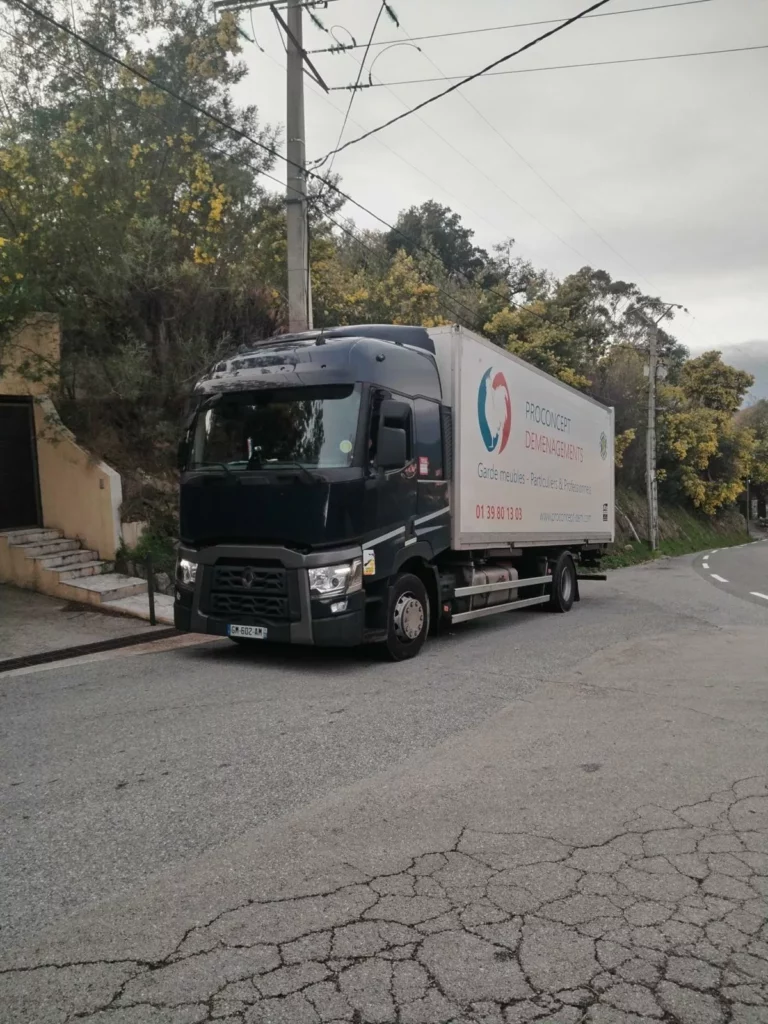 Un grand camion poids lourd de la société Proconcept Déménagements stationné dans le virage d'une route de campagne bordée d'arbres.